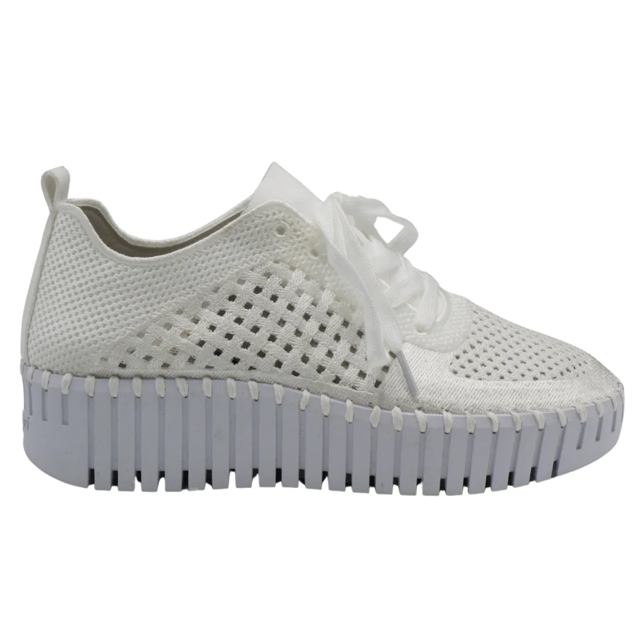 Perforated Lace Up Sneaker